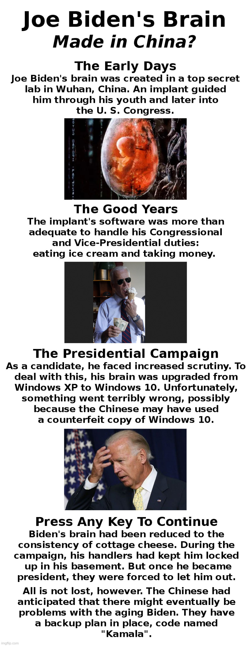 Joe Biden's Brain | image tagged in joe biden,brain,made in china,ice cream,money,windows 10 | made w/ Imgflip meme maker