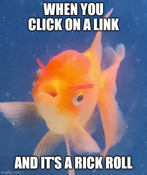 Rick roll fish | WHEN YOU CLICK ON A LINK; AND IT'S A RICK ROLL | image tagged in mad fish | made w/ Imgflip meme maker