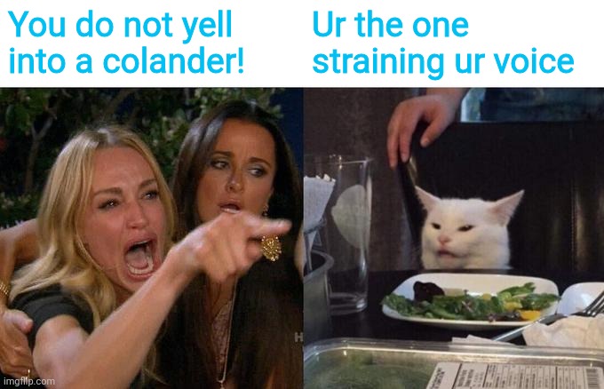Woman Yelling At Cat Meme | You do not yell into a colander! Ur the one straining ur voice | image tagged in memes,woman yelling at cat | made w/ Imgflip meme maker