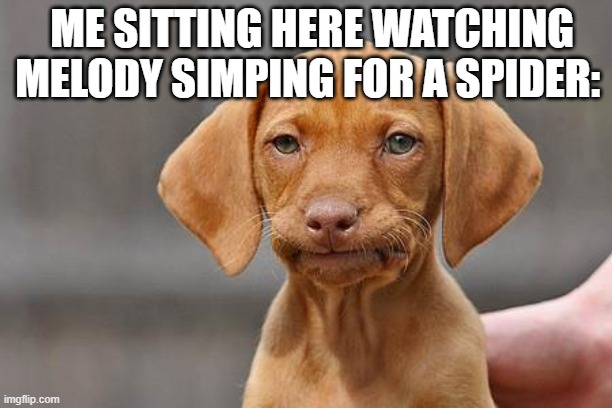 Nothing wrong with that...but like bruh- | ME SITTING HERE WATCHING MELODY SIMPING FOR A SPIDER: | image tagged in dissapointed puppy | made w/ Imgflip meme maker