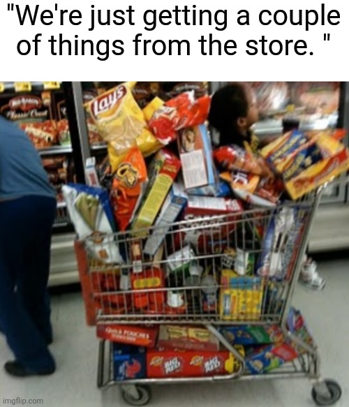 We're only getting a few things | "We're just getting a couple of things from the store. " | image tagged in grocery store,memes,relatable,family | made w/ Imgflip meme maker