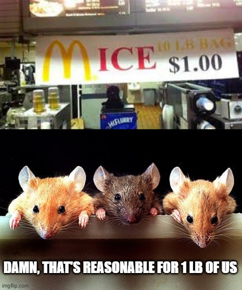 McWhat? | DAMN, THAT'S REASONABLE FOR 1 LB OF US | image tagged in 3 mice,you had one job | made w/ Imgflip meme maker