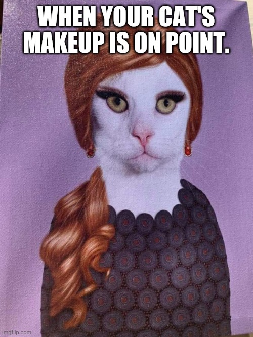 WHEN YOUR CAT'S MAKEUP IS ON POINT. | made w/ Imgflip meme maker