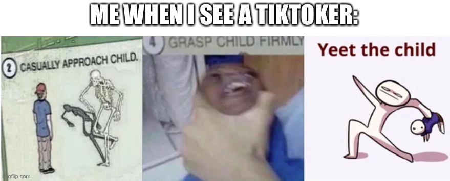 Casually Approach Child, Grasp Child Firmly, Yeet the Child | ME WHEN I SEE A TIKTOKER: | image tagged in casually approach child grasp child firmly yeet the child | made w/ Imgflip meme maker