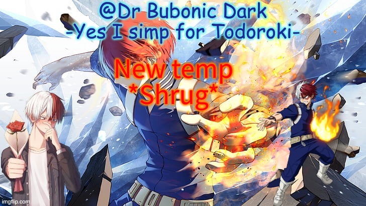 New temp
*Shrug* | image tagged in yes a second totoroki temp now sush | made w/ Imgflip meme maker