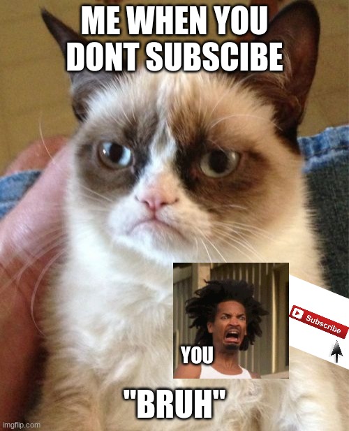 Grumpy Cat | ME WHEN YOU DONT SUBSCIBE; "BRUH"; YOU | image tagged in memes,grumpy cat | made w/ Imgflip meme maker