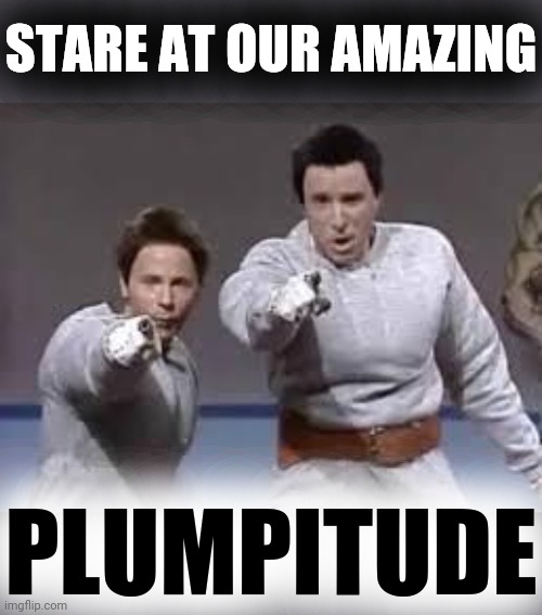 hans and franz | STARE AT OUR AMAZING PLUMPITUDE | image tagged in hans and franz | made w/ Imgflip meme maker