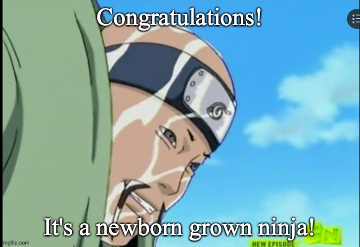 Congratulations! It's a newborn grown ninja! | image tagged in naruto | made w/ Imgflip meme maker