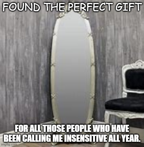 Perfect Gift | FOUND THE PERFECT GIFT; FOR ALL THOSE PEOPLE WHO HAVE BEEN CALLING ME INSENSITIVE ALL YEAR. | image tagged in mirror | made w/ Imgflip meme maker