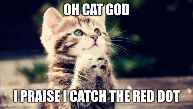 I found something like this on the web but didn’t copy the words | OH CAT GOD; I PRAISE I CATCH THE RED DOT | image tagged in praying cat,reddotagain,iknowitsoldnow | made w/ Imgflip meme maker