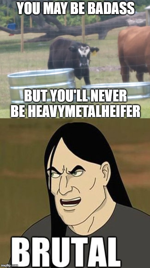 #HeavyMetalHeifer | YOU MAY BE BADASS; BUT YOU'LL NEVER BE HEAVYMETALHEIFER | image tagged in brutal,badass,funny memes,memes,cow,heavymetalheifer | made w/ Imgflip meme maker