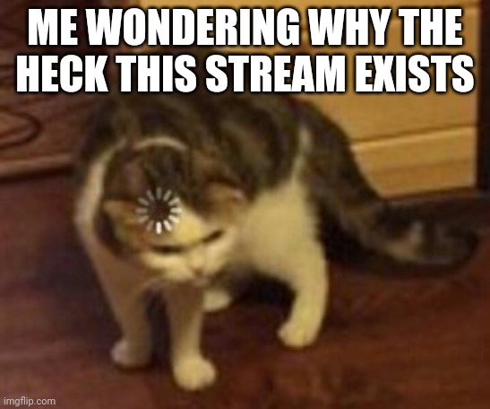 Loading cat | ME WONDERING WHY THE HECK THIS STREAM EXISTS | image tagged in loading cat,cat,stream | made w/ Imgflip meme maker