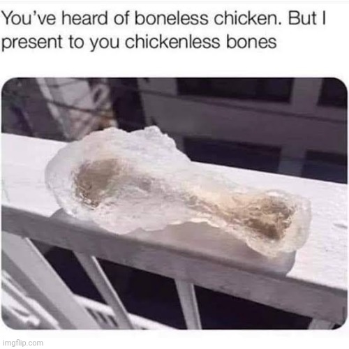 image tagged in chickenless bones,memes | made w/ Imgflip meme maker