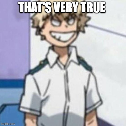 That's Very True | image tagged in my hero academia,bakugo | made w/ Imgflip meme maker