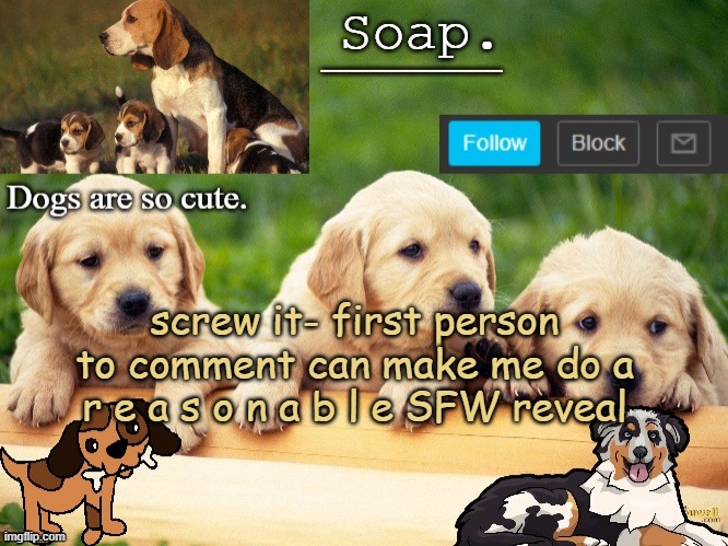 Soap doggo temp | screw it- first person to comment can make me do a r e a s o n a b l e SFW reveal | image tagged in soap doggo temp ty yachi | made w/ Imgflip meme maker