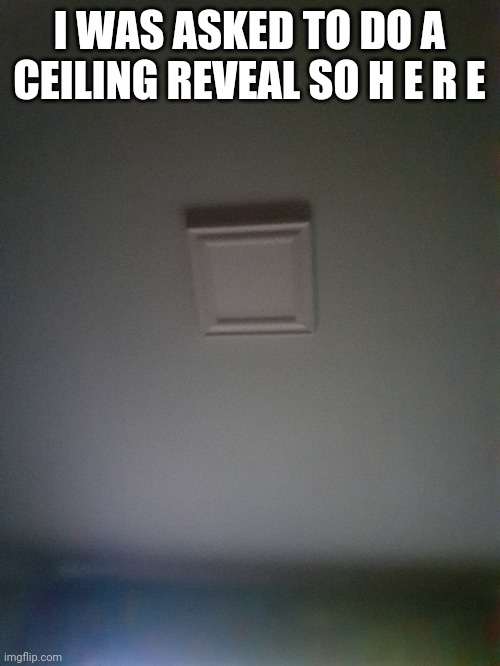 I WAS ASKED TO DO A CEILING REVEAL SO H E R E | made w/ Imgflip meme maker