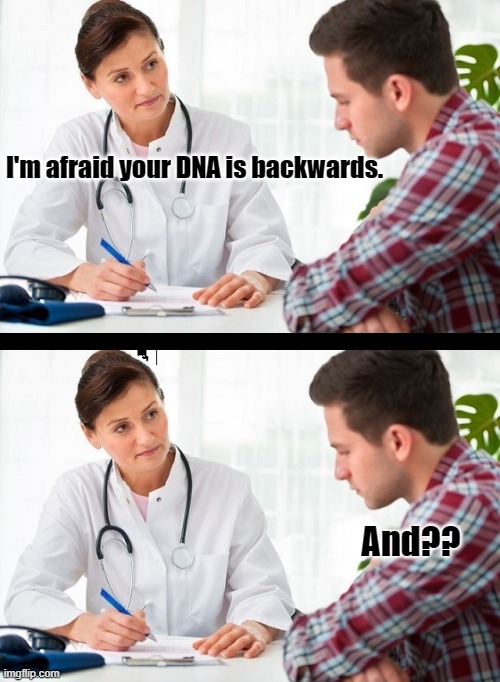 doctor and patient |  I'm afraid your DNA is backwards. And?? | image tagged in doctor and patient,dna,bad jokes,reverse | made w/ Imgflip meme maker
