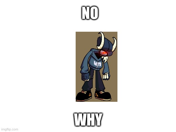 no why | NO; WHY | image tagged in blank white template | made w/ Imgflip meme maker