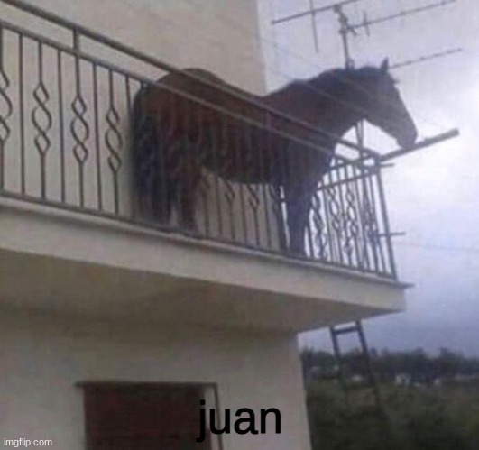 Juan | juan | image tagged in juan | made w/ Imgflip meme maker