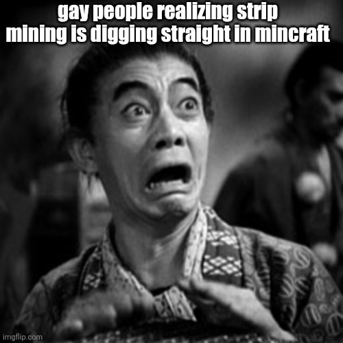 o no | gay people realizing strip mining is digging straight in mincraft | image tagged in panicked face | made w/ Imgflip meme maker