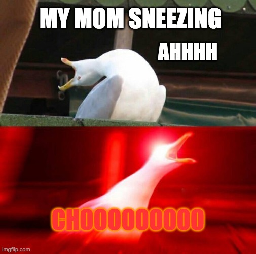 My mom | MY MOM SNEEZING; AHHHH; CHOOOOOOOOO | image tagged in inhaling seagull | made w/ Imgflip meme maker