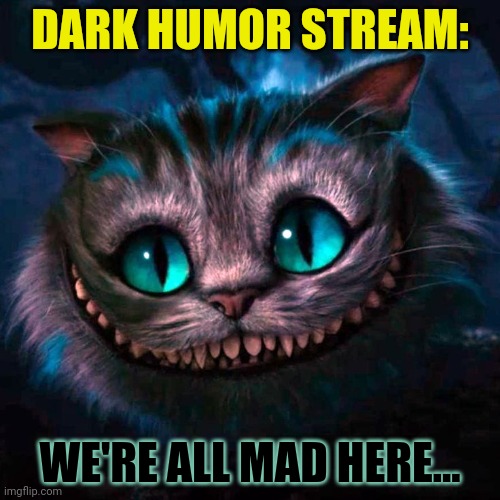 We're All Mad Here | DARK HUMOR STREAM: WE'RE ALL MAD HERE... | image tagged in we're all mad here | made w/ Imgflip meme maker