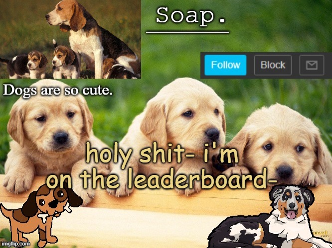 it hasnt updated but i have enough points to be XD | holy shit- i'm on the leaderboard- | image tagged in soap doggo temp ty yachi | made w/ Imgflip meme maker