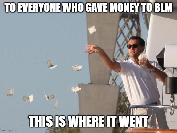 Leonardo DiCaprio throwing Money  | TO EVERYONE WHO GAVE MONEY TO BLM THIS IS WHERE IT WENT | image tagged in leonardo dicaprio throwing money | made w/ Imgflip meme maker