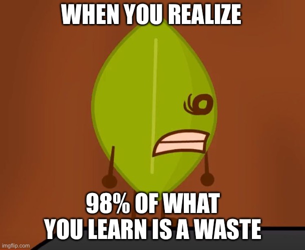 BFDI "Wat" Face | WHEN YOU REALIZE; 98% OF WHAT YOU LEARN IS A WASTE | image tagged in bfdi wat face | made w/ Imgflip meme maker