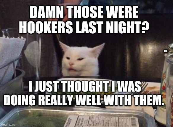 Salad cat | DAMN THOSE WERE HOOKERS LAST NIGHT? J M; I JUST THOUGHT I WAS DOING REALLY WELL WITH THEM. | image tagged in salad cat | made w/ Imgflip meme maker