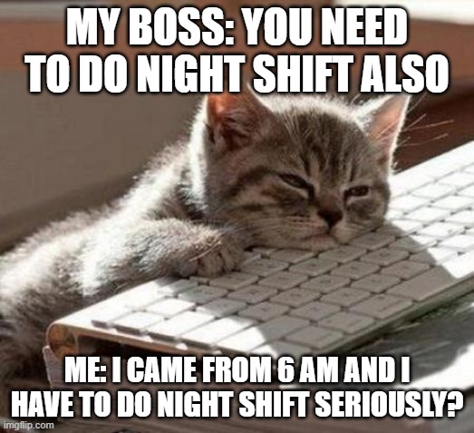 who's boss does this too? | MY BOSS: YOU NEED TO DO NIGHT SHIFT ALSO; ME: I CAME FROM 6 AM AND I HAVE TO DO NIGHT SHIFT SERIOUSLY? | image tagged in tired cat | made w/ Imgflip meme maker
