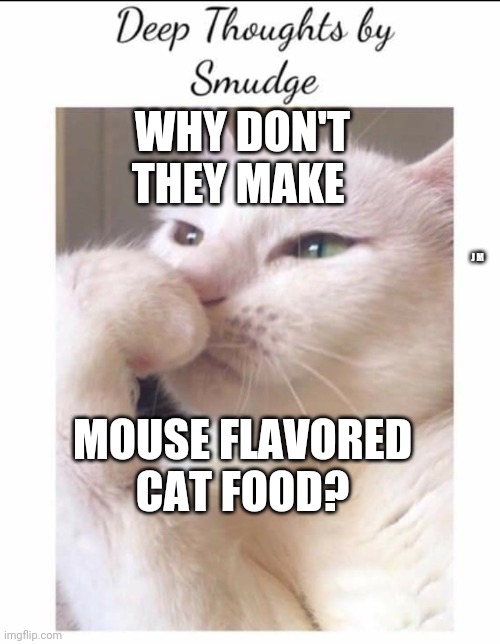 Smudge | WHY DON'T THEY MAKE; J M; MOUSE FLAVORED CAT FOOD? | image tagged in smudge | made w/ Imgflip meme maker