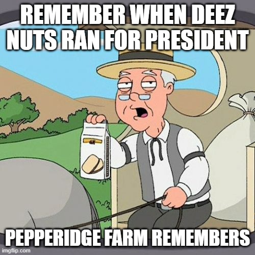 Pepperidge Farm Remembers | REMEMBER WHEN DEEZ NUTS RAN FOR PRESIDENT; PEPPERIDGE FARM REMEMBERS | image tagged in memes,pepperidge farm remembers | made w/ Imgflip meme maker