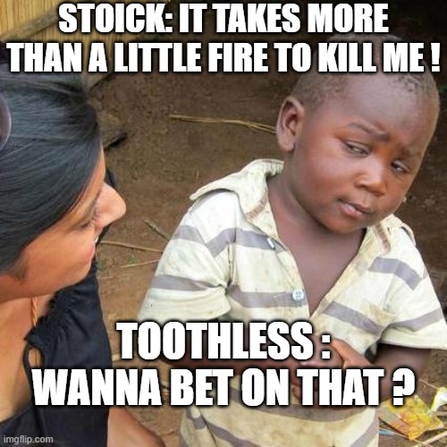 Third World Skeptical Kid Meme | STOICK: IT TAKES MORE THAN A LITTLE FIRE TO KILL ME ! TOOTHLESS : WANNA BET ON THAT ? | image tagged in memes,third world skeptical kid | made w/ Imgflip meme maker