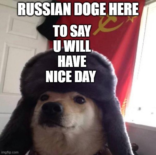 Russian Doge | RUSSIAN DOGE HERE; TO SAY U WILL HAVE NICE DAY | image tagged in russian doge | made w/ Imgflip meme maker