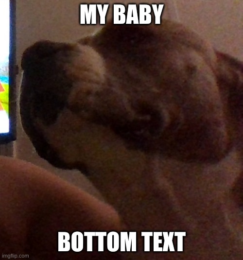 MY BABY; BOTTOM TEXT | made w/ Imgflip meme maker