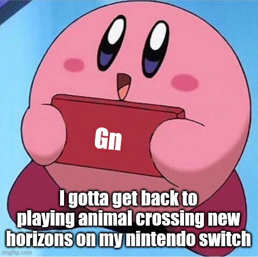 Okay, that's all the time i've got | Gn; I gotta get back to playing animal crossing new horizons on my nintendo switch | image tagged in kirby holding a sign | made w/ Imgflip meme maker