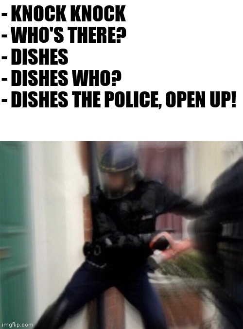 Open up! | - KNOCK KNOCK
- WHO'S THERE?
- DISHES
- DISHES WHO?
- DISHES THE POLICE, OPEN UP! | image tagged in fbi open up,funny,memes,police,lol | made w/ Imgflip meme maker