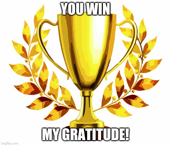 You Win! | YOU WIN MY GRATITUDE! | image tagged in you win | made w/ Imgflip meme maker