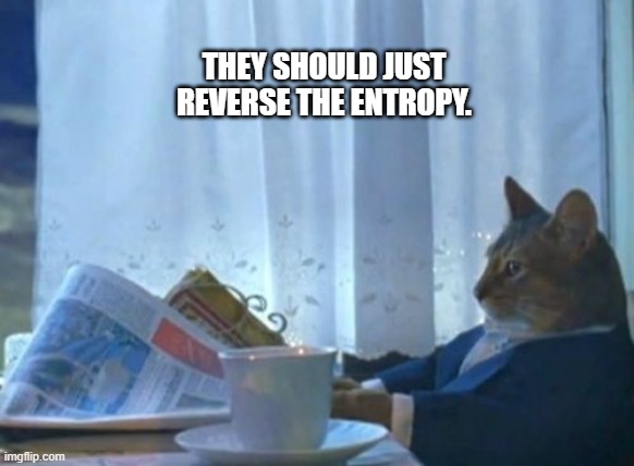 Reverse the entropy | THEY SHOULD JUST REVERSE THE ENTROPY. | image tagged in memes,i should buy a boat cat,entropy,science | made w/ Imgflip meme maker