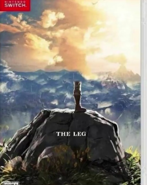 the leg | image tagged in legend of zelda,gaming | made w/ Imgflip meme maker