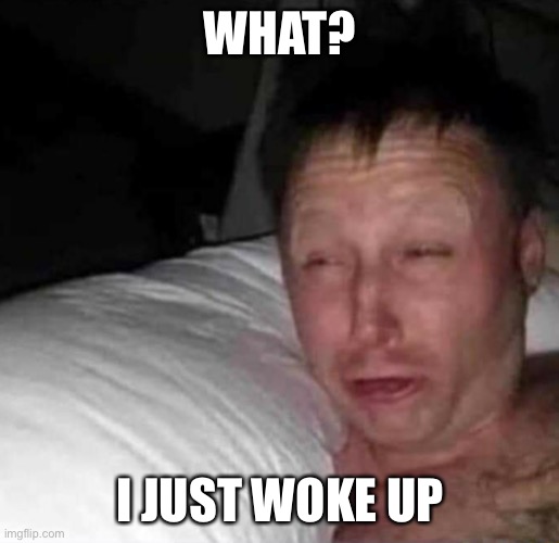 Sleepy guy | WHAT? I JUST WOKE UP | image tagged in sleepy guy | made w/ Imgflip meme maker