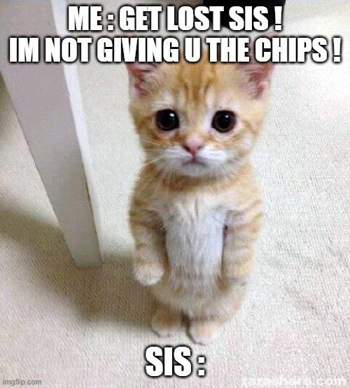 Cute Cat Meme | ME : GET LOST SIS ! IM NOT GIVING U THE CHIPS ! SIS : | image tagged in memes,cute cat | made w/ Imgflip meme maker