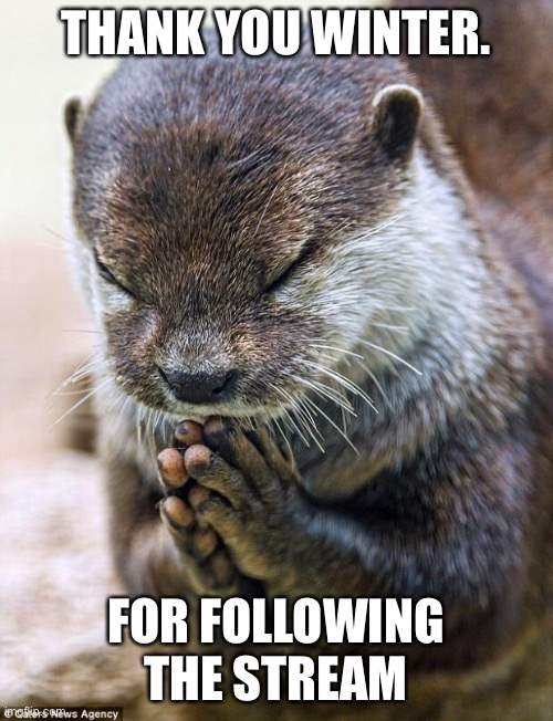Thank you Lord Otter | THANK YOU WINTER. FOR FOLLOWING THE STREAM | image tagged in thank you lord otter,eym | made w/ Imgflip meme maker