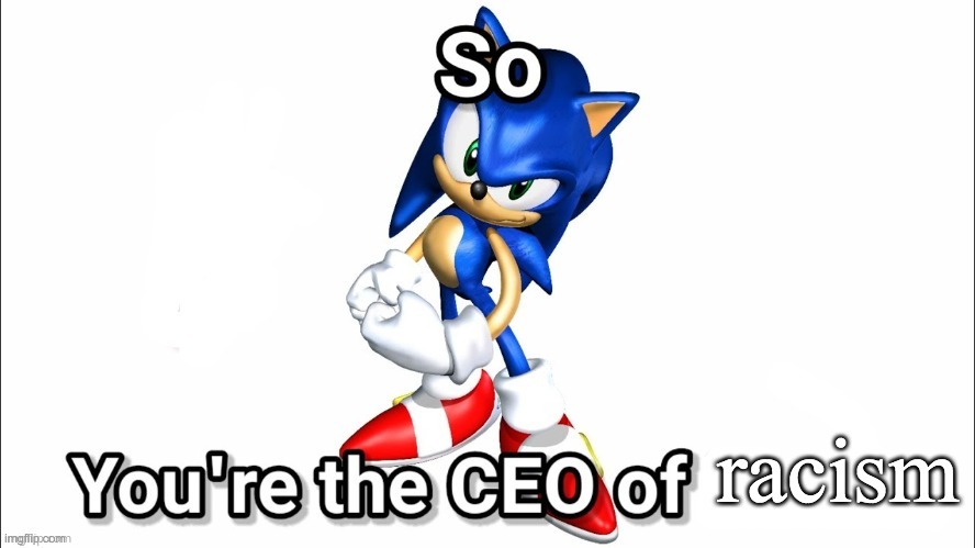 so you're the CEO of | racism | image tagged in so you're the ceo of | made w/ Imgflip meme maker