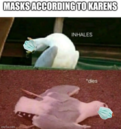 why do karens think that (repost from someone i dont remember) | MASKS ACCORDING TO KARENS | image tagged in dead seagull | made w/ Imgflip meme maker