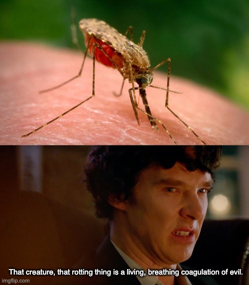 E V I L |  That creature, that rotting thing is a living, breathing coagulation of evil. | image tagged in mosquito,mosquitoes,sherlock holmes,sherlock,memes | made w/ Imgflip meme maker