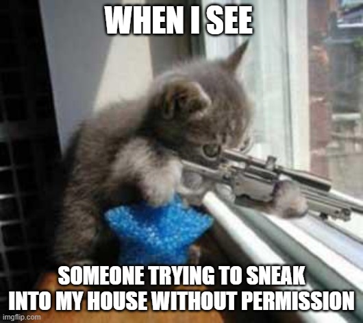 CatSniper | WHEN I SEE; SOMEONE TRYING TO SNEAK INTO MY HOUSE WITHOUT PERMISSION | image tagged in catsniper | made w/ Imgflip meme maker