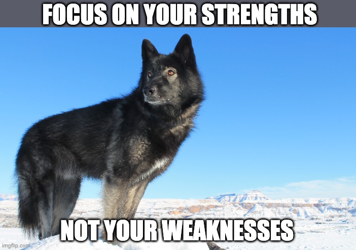 Focus on your strengths, not your weaknesses | FOCUS ON YOUR STRENGTHS; NOT YOUR WEAKNESSES | image tagged in memes,motivation | made w/ Imgflip meme maker