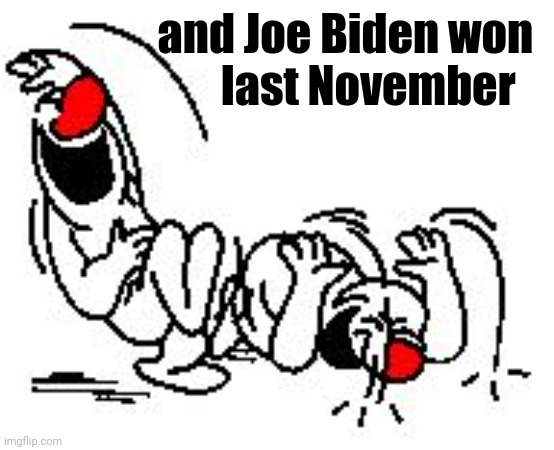 LOL Hysterically | and Joe Biden won 
last November | image tagged in lol hysterically | made w/ Imgflip meme maker